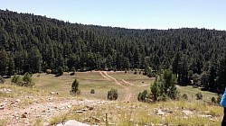 Things to do: off-roading in Munds Park Coconino Forest