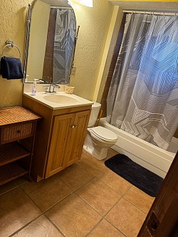 downstairs master bathroom