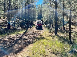 Munds Park Trails